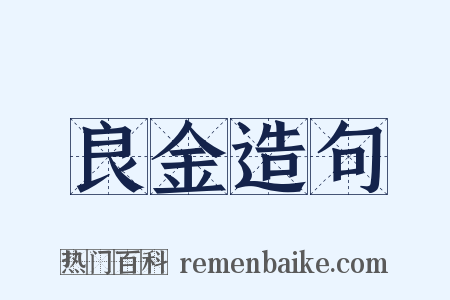 良金造句是什么意思的图片